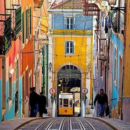 アパート Amalia *